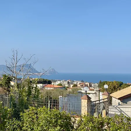Cocus Altavilla Milicia